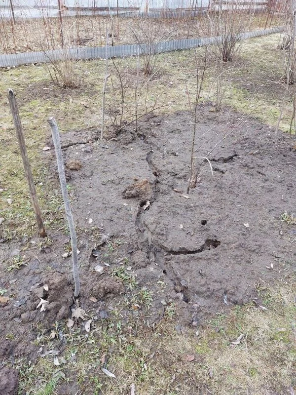 Загородная жизнь - обустройство на своей земле во всем ее разнообразии