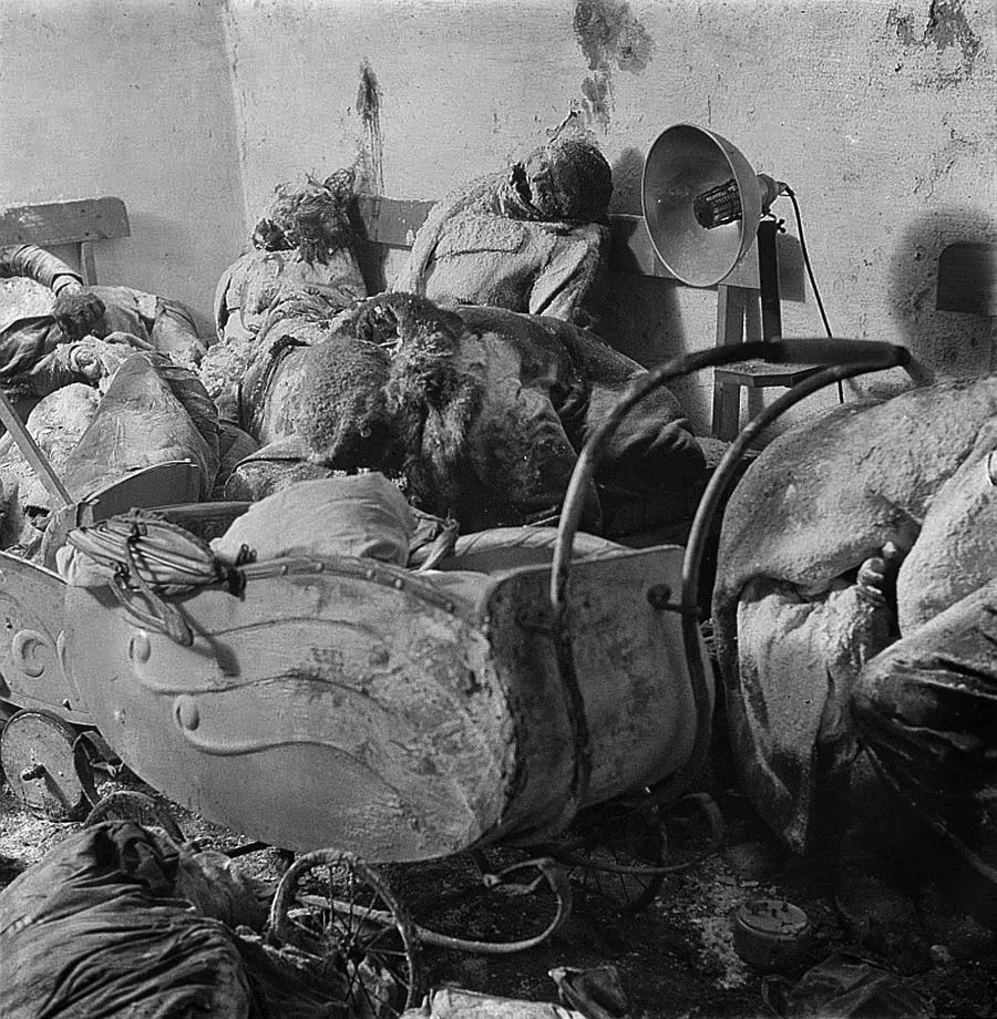 Запечатленная история