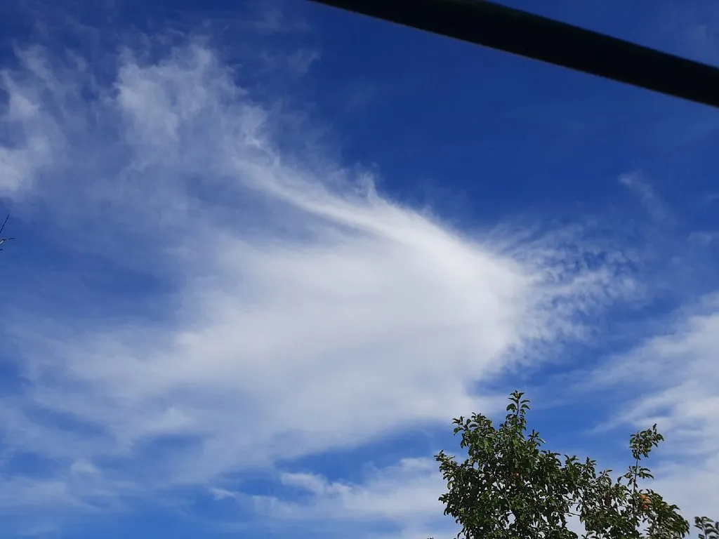 Такое разное небо