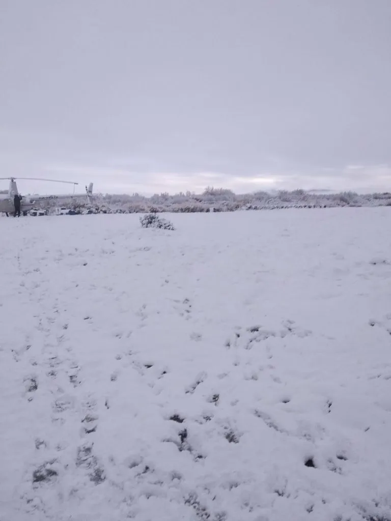 Чайная беседка