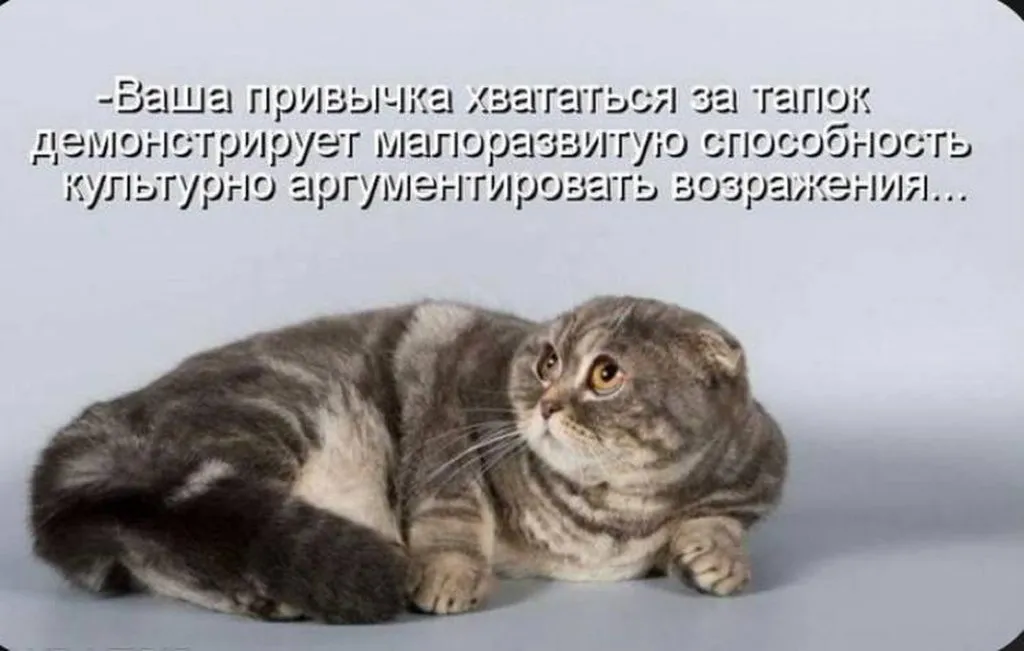 Посмеялся сам - поделись с другом!!!
