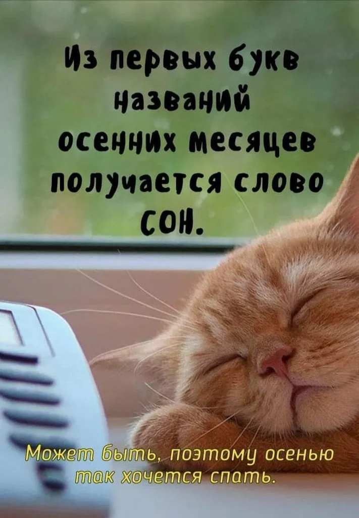 Кафе «У пани Сони»
