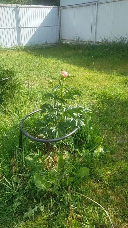 Загородная жизнь - обустройство на своей земле во всем ее разнообразии