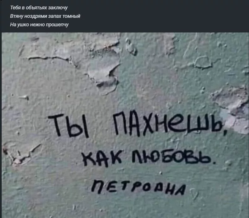Всюду рифмы