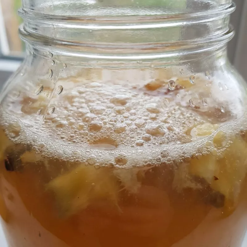 Тепаче – мексиканский ананасовый квас