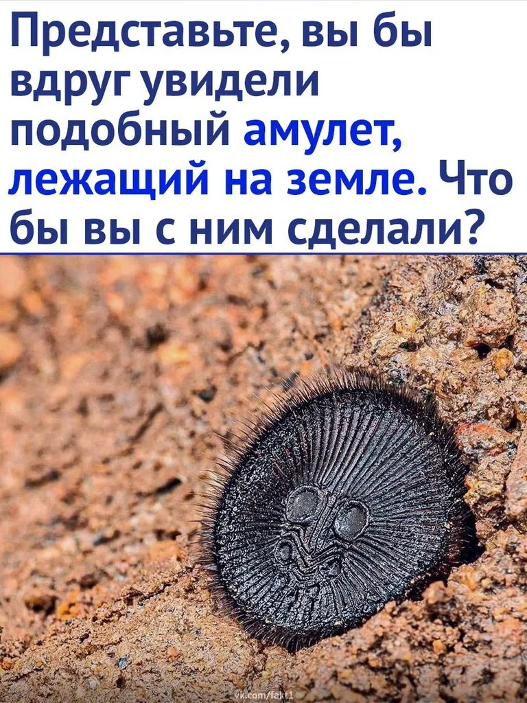 Это интересно!