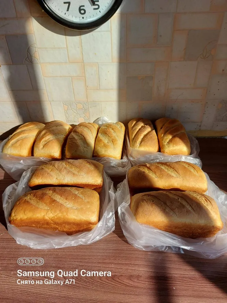 Tapтaлeтки & Ко
