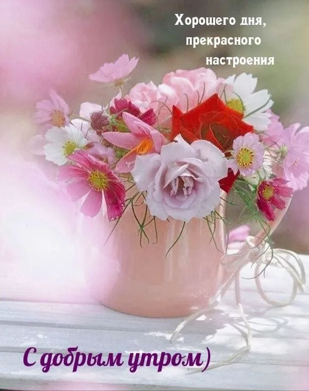 Tapтaлeтки & Ко