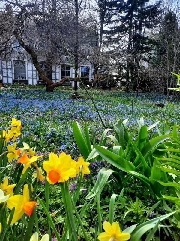 Чайная беседка