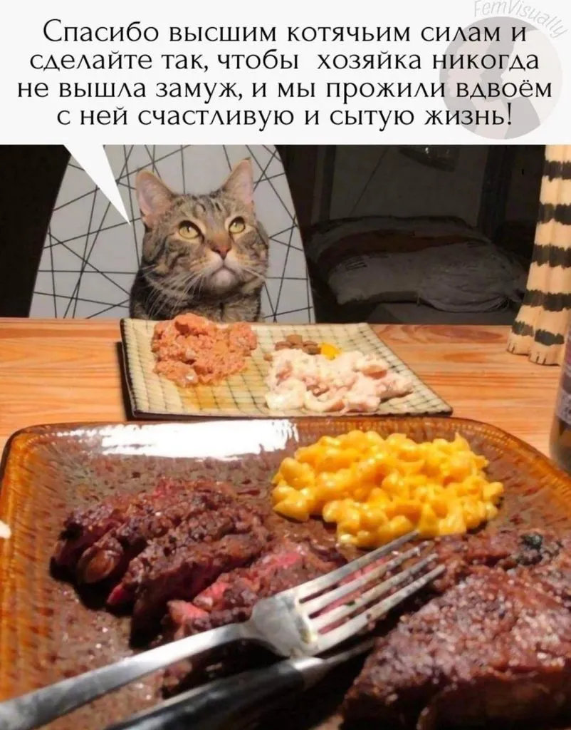 Посмеялся сам - поделись с другом!!!