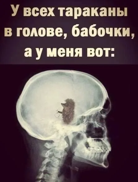 Посмеялся сам - поделись с другом!!!