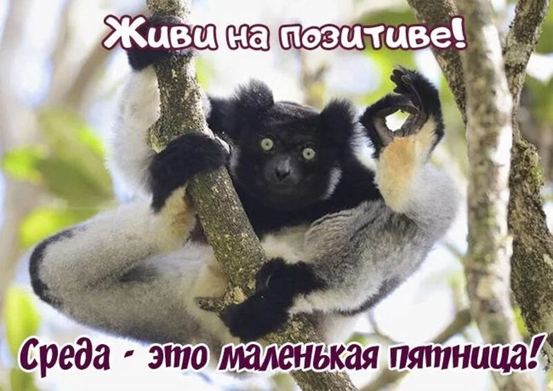 Посмеялся сам - поделись с другом!!!