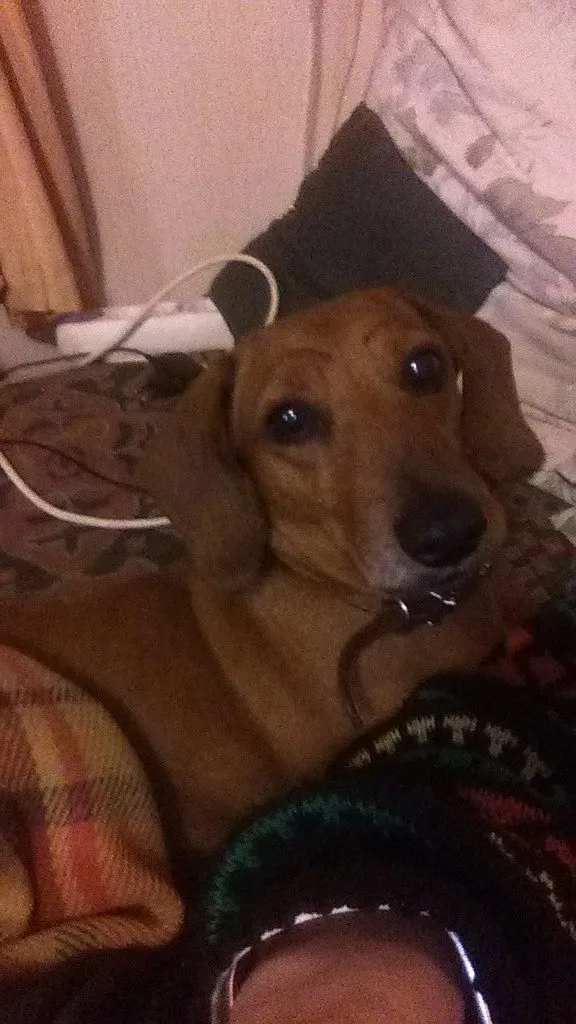 Живой Журнал Жульена