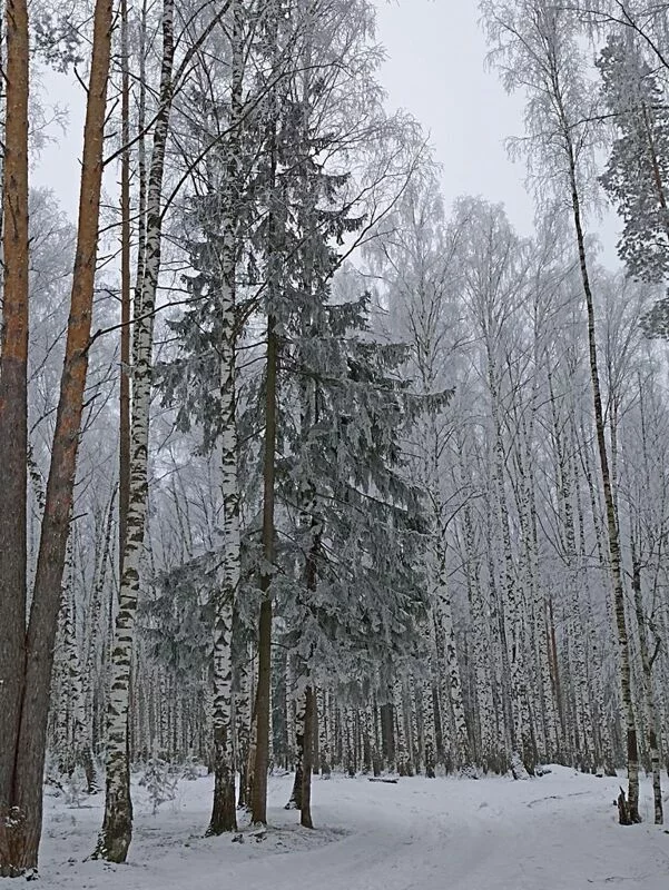 Фотонастроение