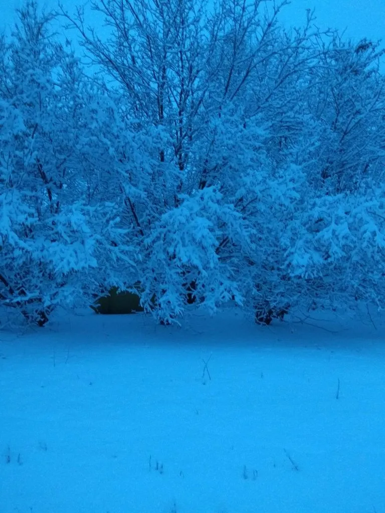 Чайная беседка