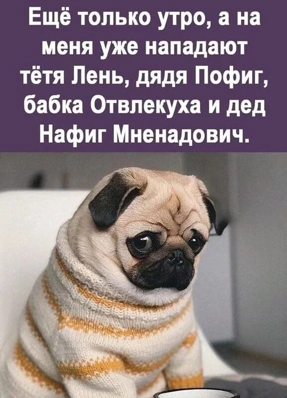 Посмеялся сам - поделись с другом!!!