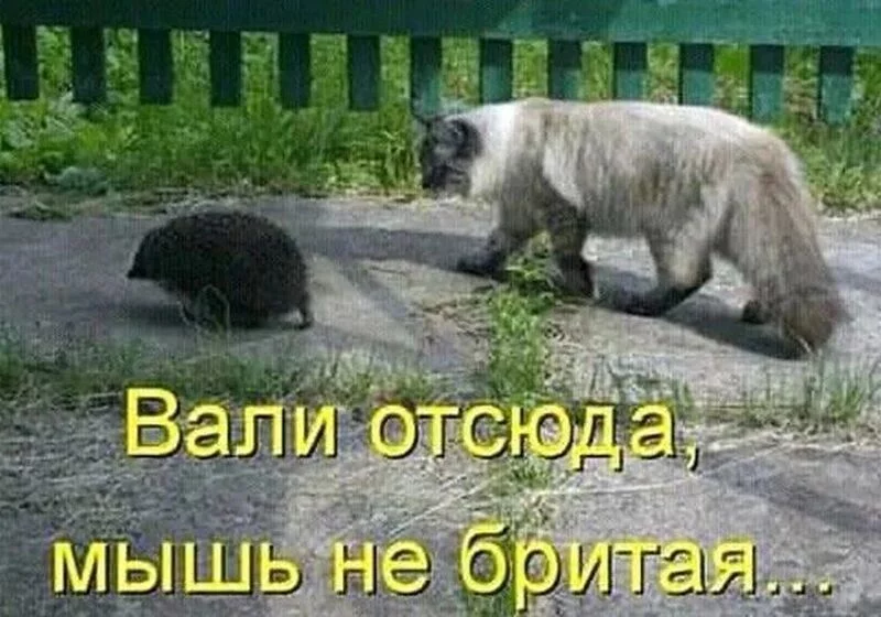 Посмеялся сам - поделись с другом!!!