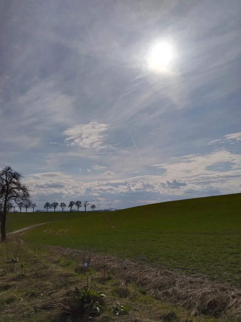 Чайная беседка