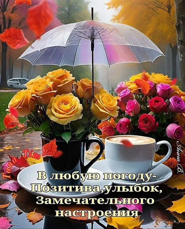 Кафе "У пани Сони"