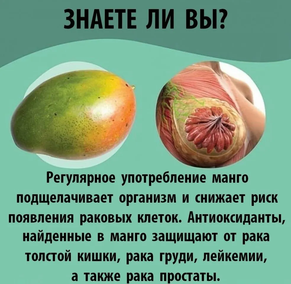 Медицинская инфографика