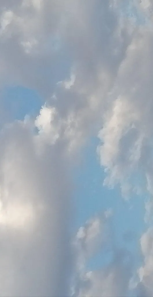 Чайная беседка