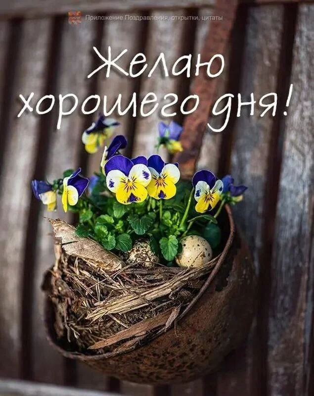 Кафе "У пани Сони"