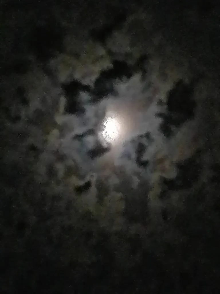 Чайная беседка