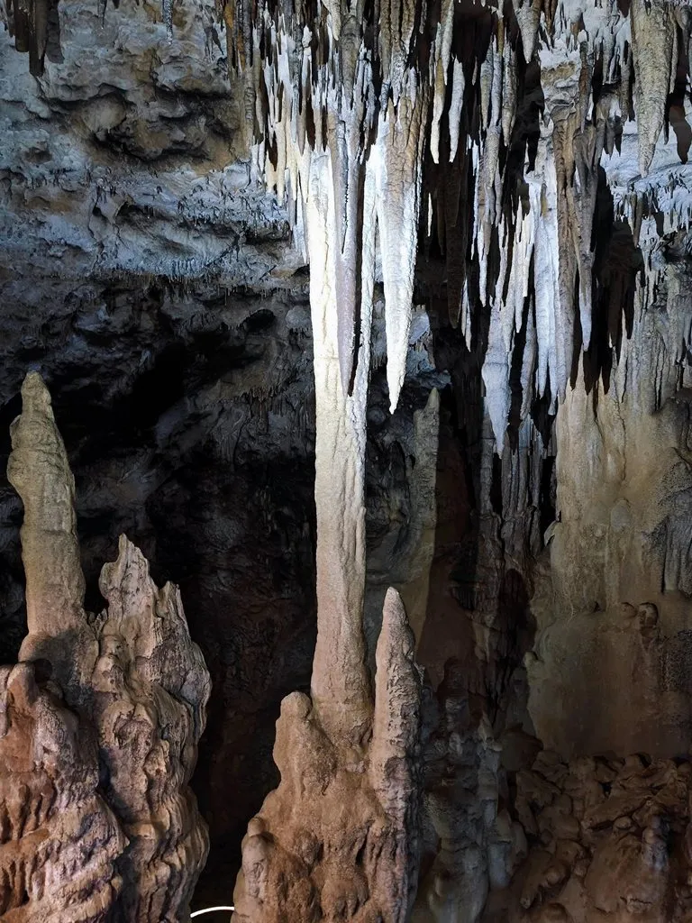 Фотонастроение