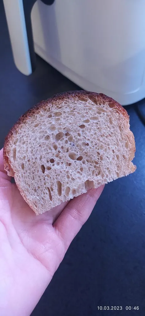 Закваска «Мини»