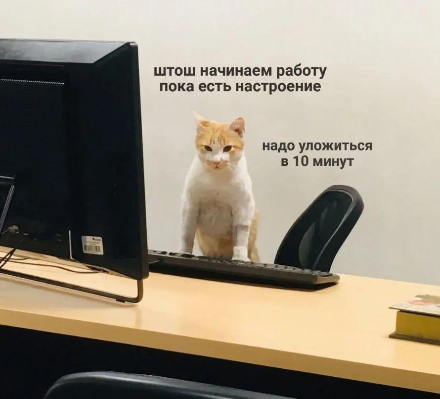 Кошичкина полиция