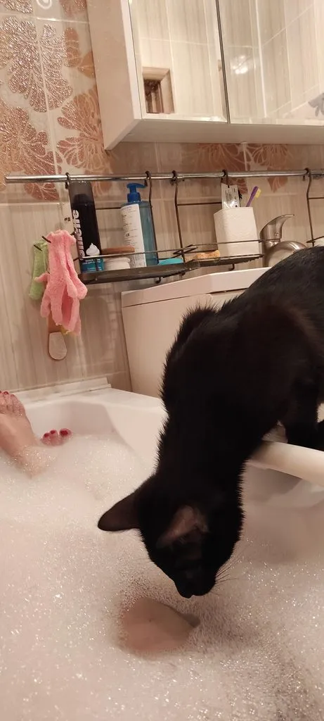 Tapтaлeтки & Ко