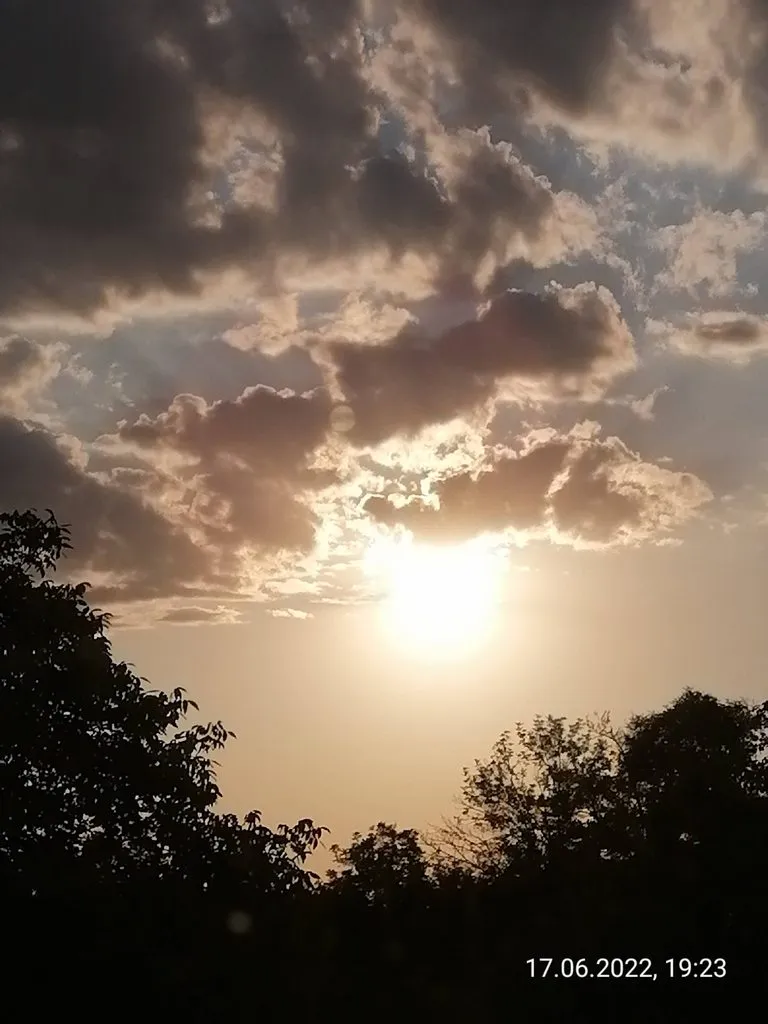 Чайная беседка