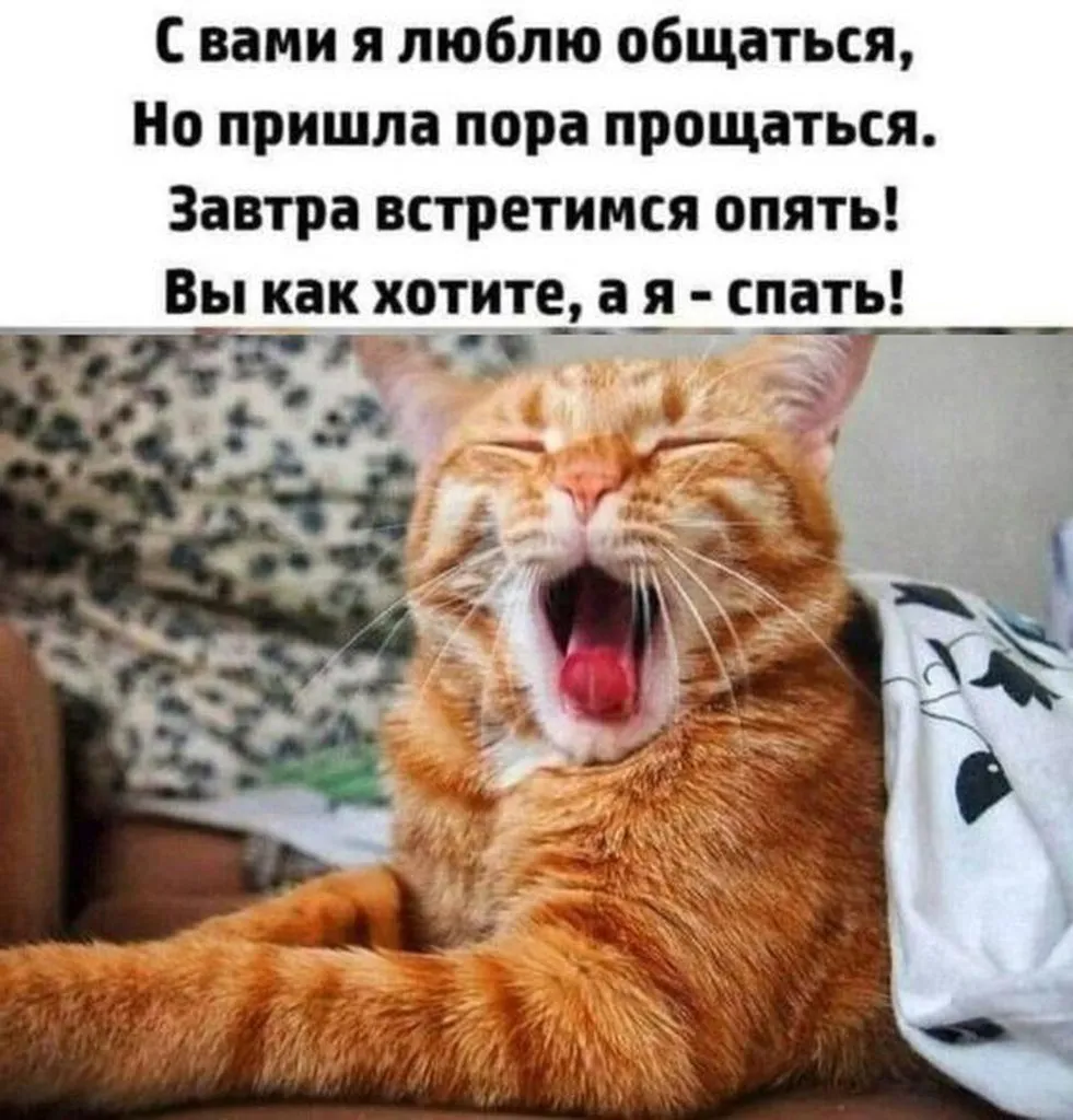 Кафе "У пани Сони"