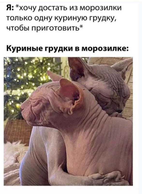 Посмеялся сам - поделись с другом!!!