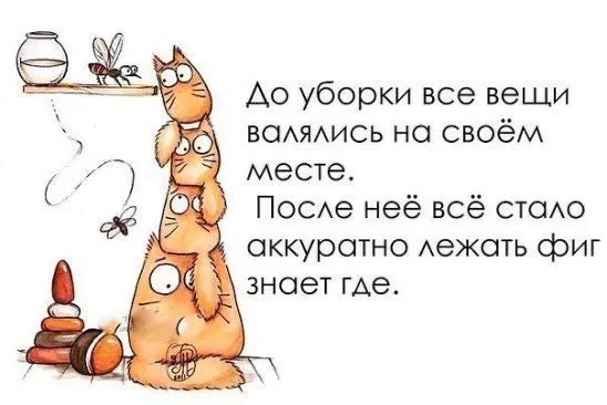 Порядок и хранение в доме