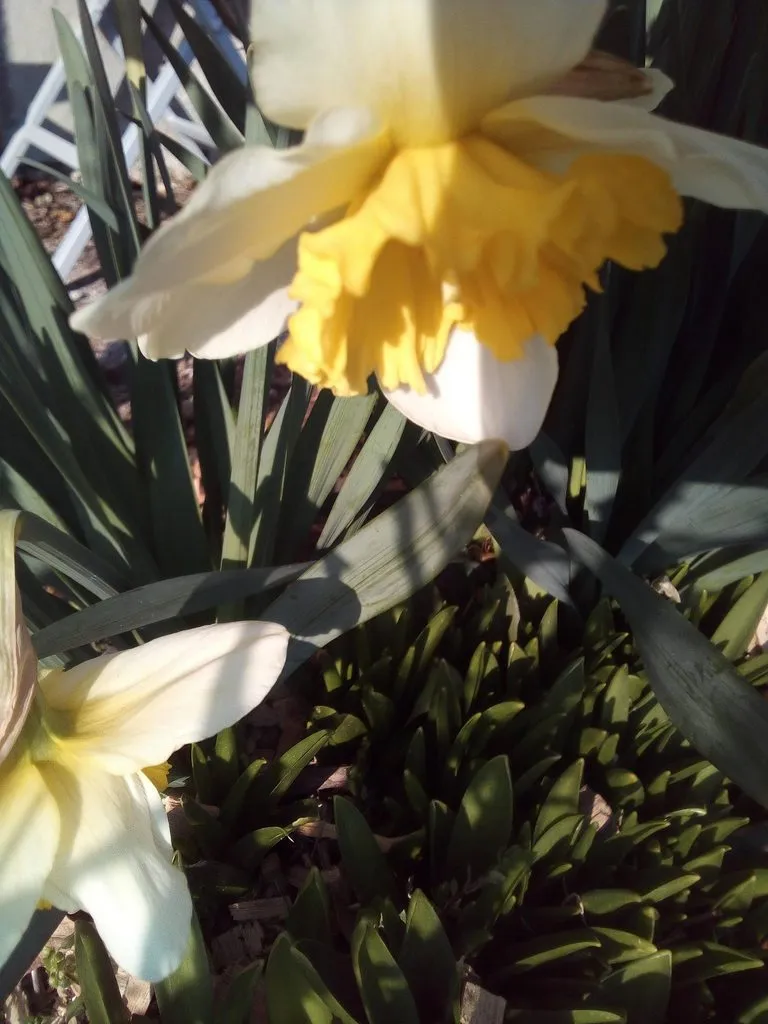 Кафе «У пани Сони»