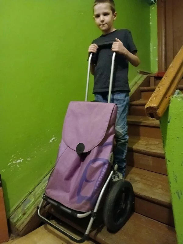 Хозяйственные сумки-тележки