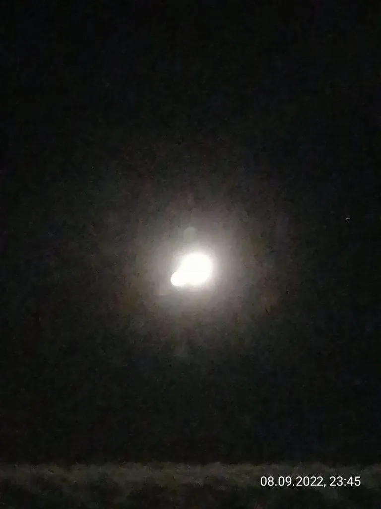 Чайная беседка