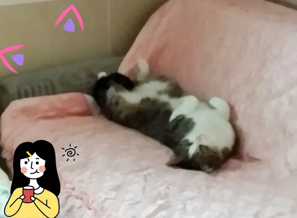 Кафе «У пани Сони»