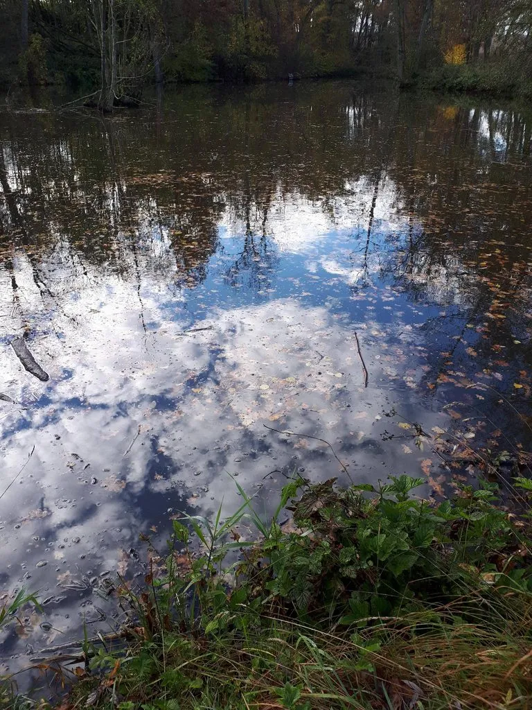 Чайная беседка