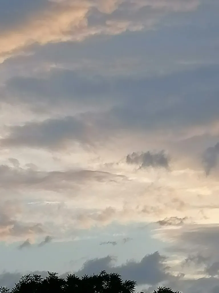 Чайная беседка