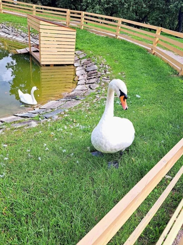 Коломенское