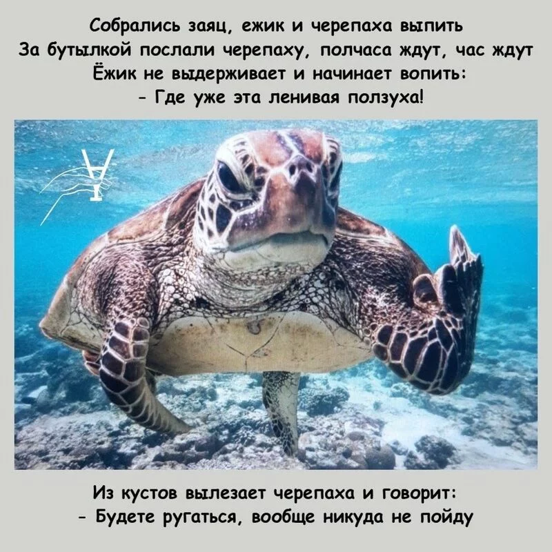 Посмеялся сам - поделись с другом!!!