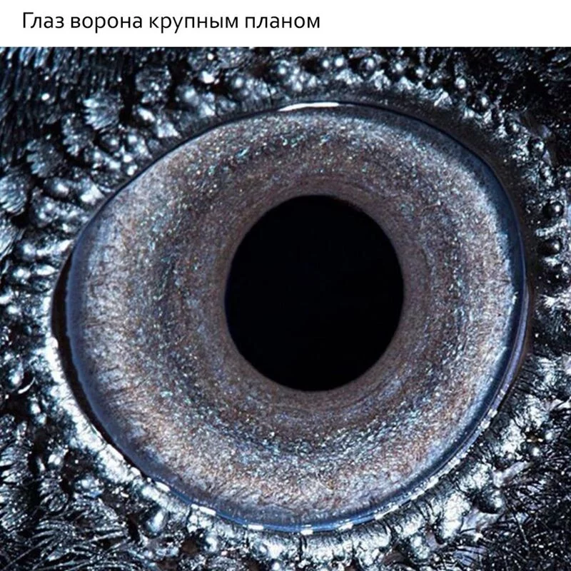 Это интересно!