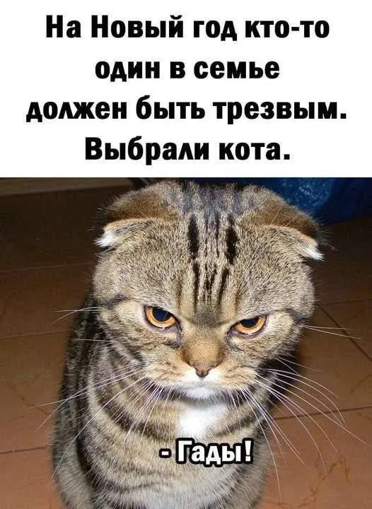 Посмеялся сам - поделись с другом!!!