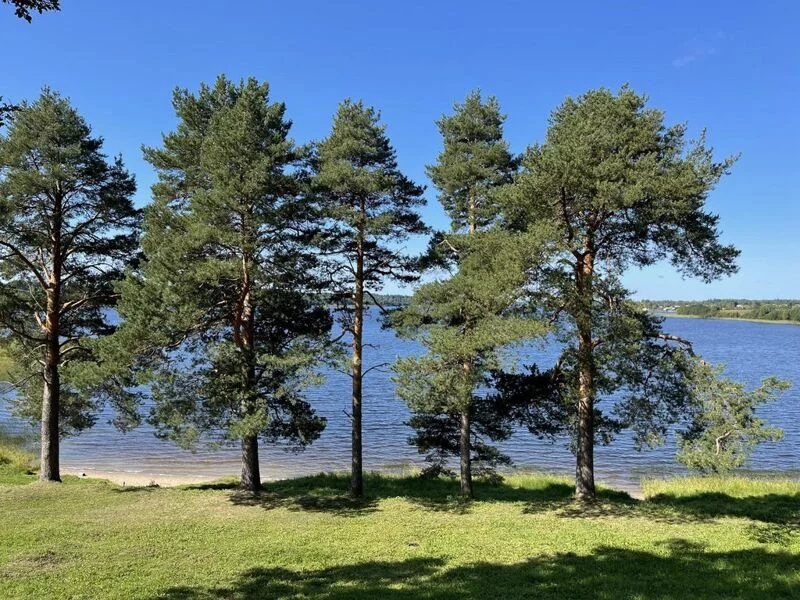 Чайная беседка