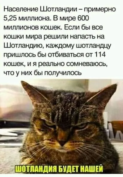 Посмеялся сам - поделись с другом!!!