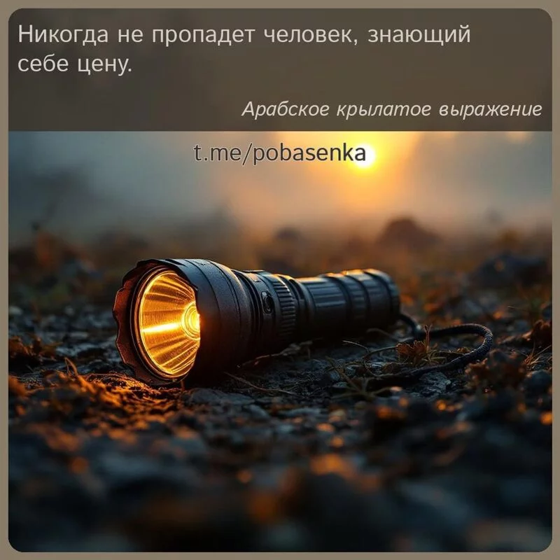 «Никогда не пропадет человек, знающий себе...» height="550" width="550"