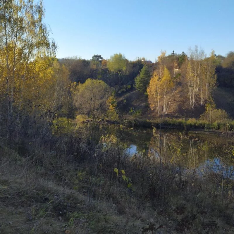 Чайная беседка