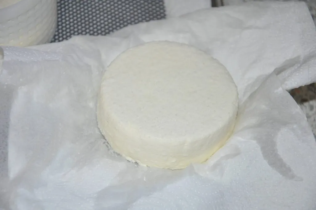Сыроварня Ariete 0615 B-Cheese